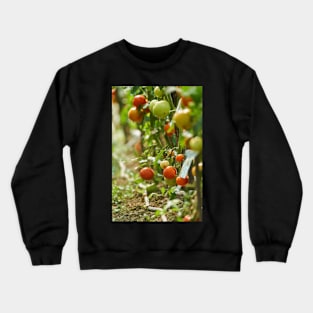 Homegrown tomatoes in the greenhouse Crewneck Sweatshirt